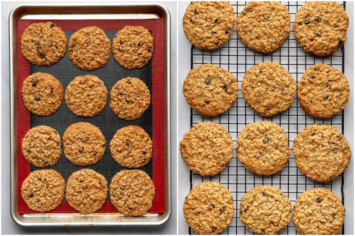 vegan oatmeal raisin cookies recipe